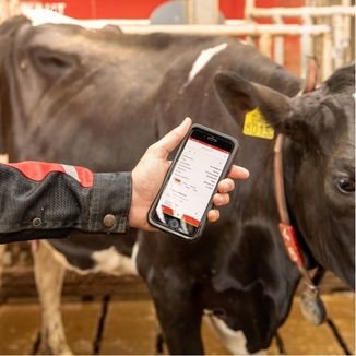 Lely Horizon