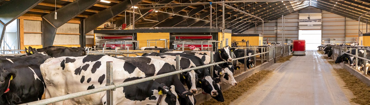 #TipThursday: Don’t Forget to Push Up Feed for Your Heifers Too!