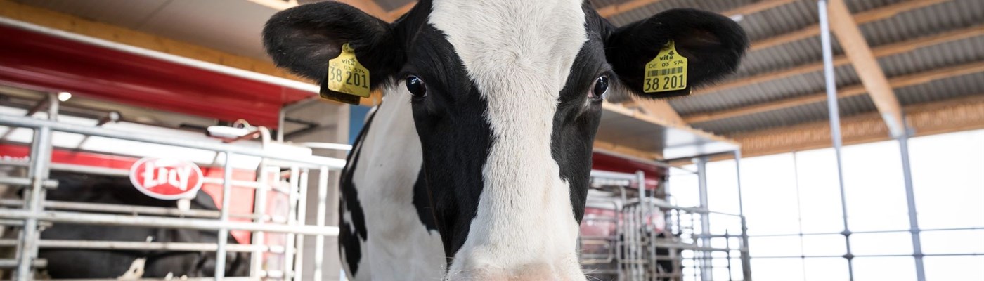 #TipThursday: Lumpy Skin Disease Confirmed in Italy and France — What Farmers Should Know