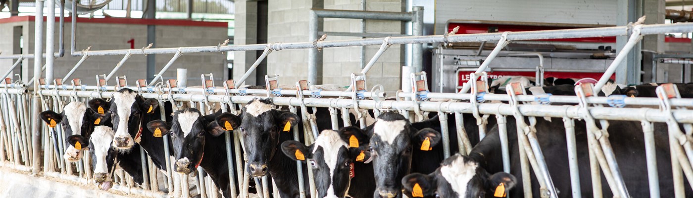 Short block time in the milk access table