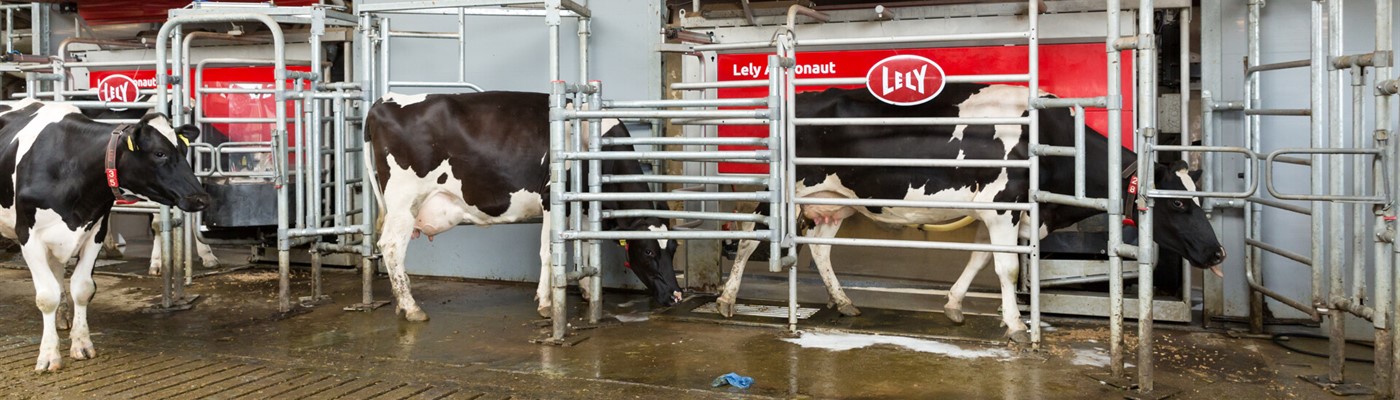 Milk Yield prediction