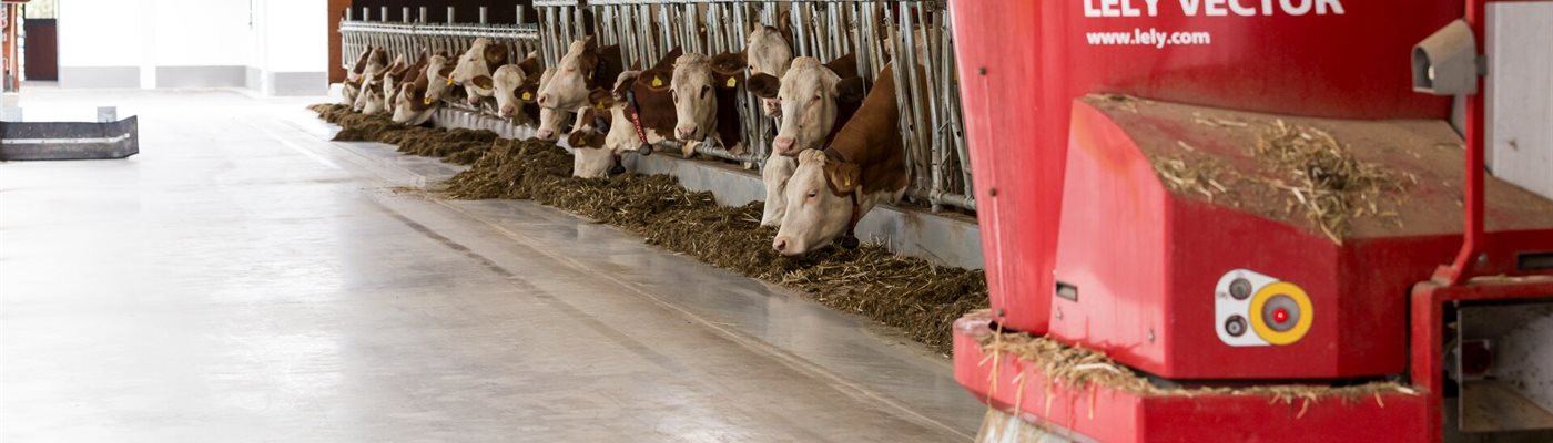 Discover the new Lely Vector fence settings page